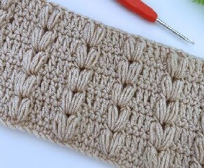Aprende a Tejer Bella Puntada a Crochet